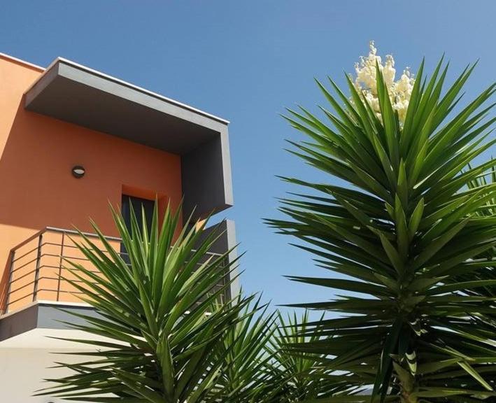 Casa Ceedina Bed And Breakfast & Beauty Batalha Dış mekan fotoğraf
